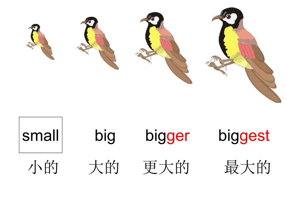 湘少版六年级英语上册Unit9（课时2）This bird is bigger than the first_第2页