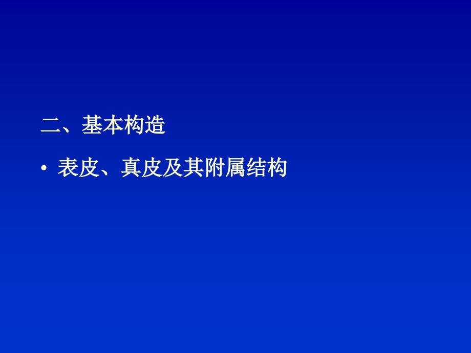 {生物科技管理}皮肤及其衍生物_第3页