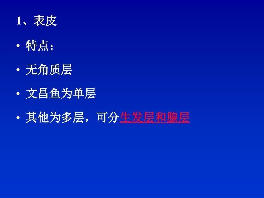 {生物科技管理}皮肤及其衍生物_第5页