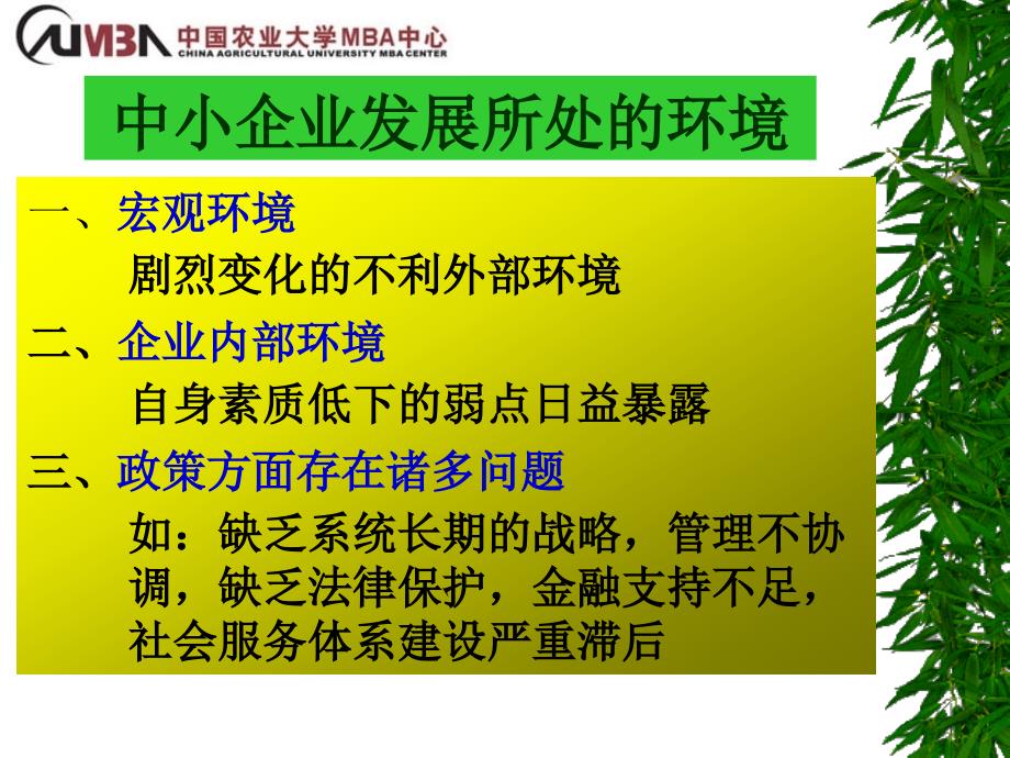 {农业与畜牧管理}农业企业的现代化生产管理农业中小企业现代化生产管理_第3页