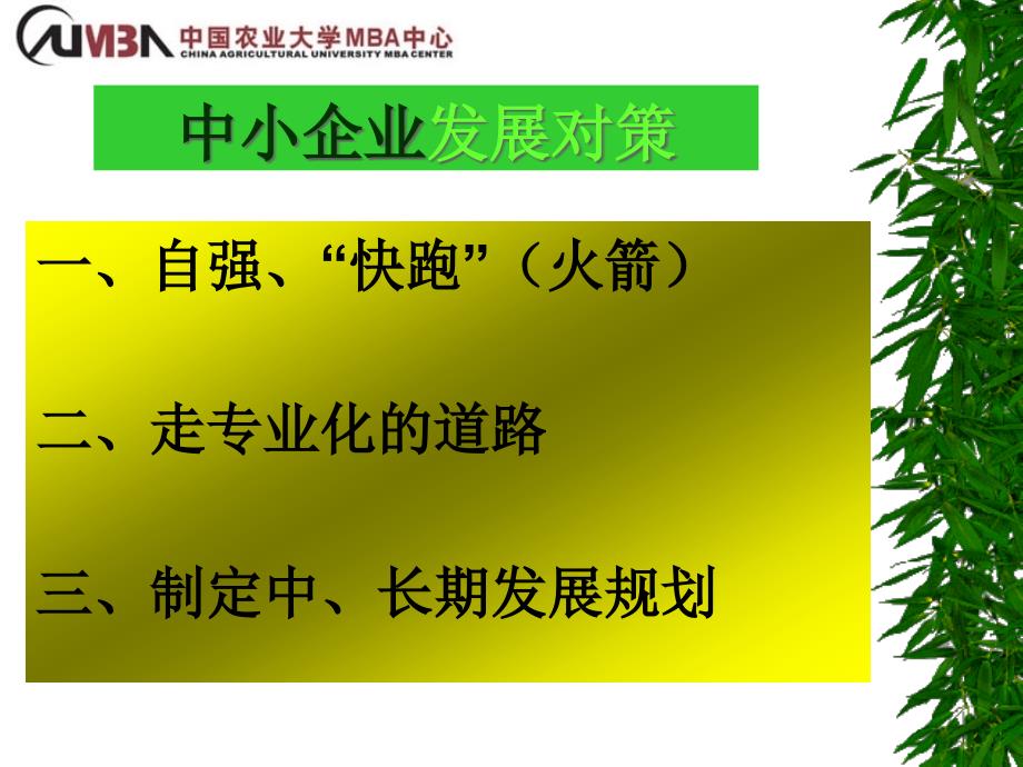 {农业与畜牧管理}农业企业的现代化生产管理农业中小企业现代化生产管理_第4页