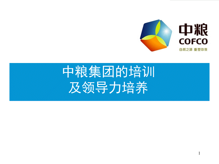 {领导力}某集团的培训及领导力培养课件_第1页