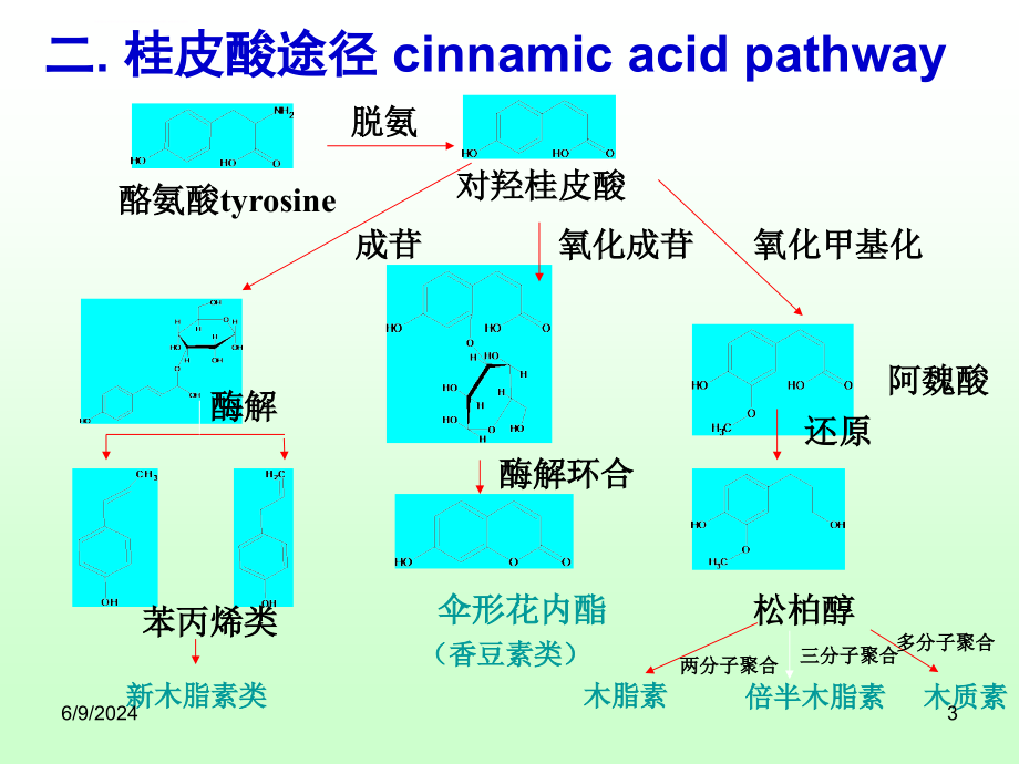 第7章苯丙素类药学专业课件_第3页