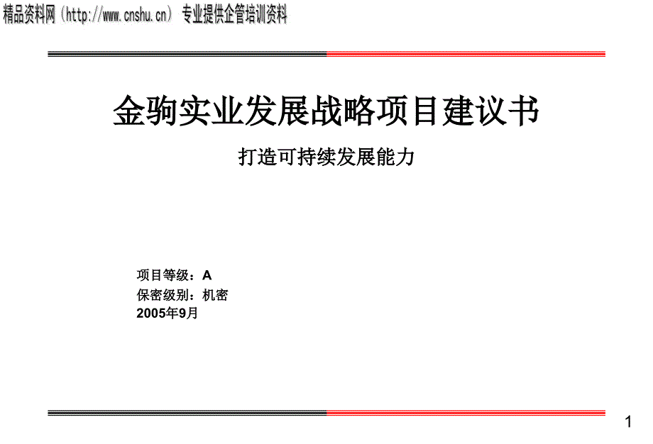 {企业发展战略}某公司发展战略项目建议书_第1页