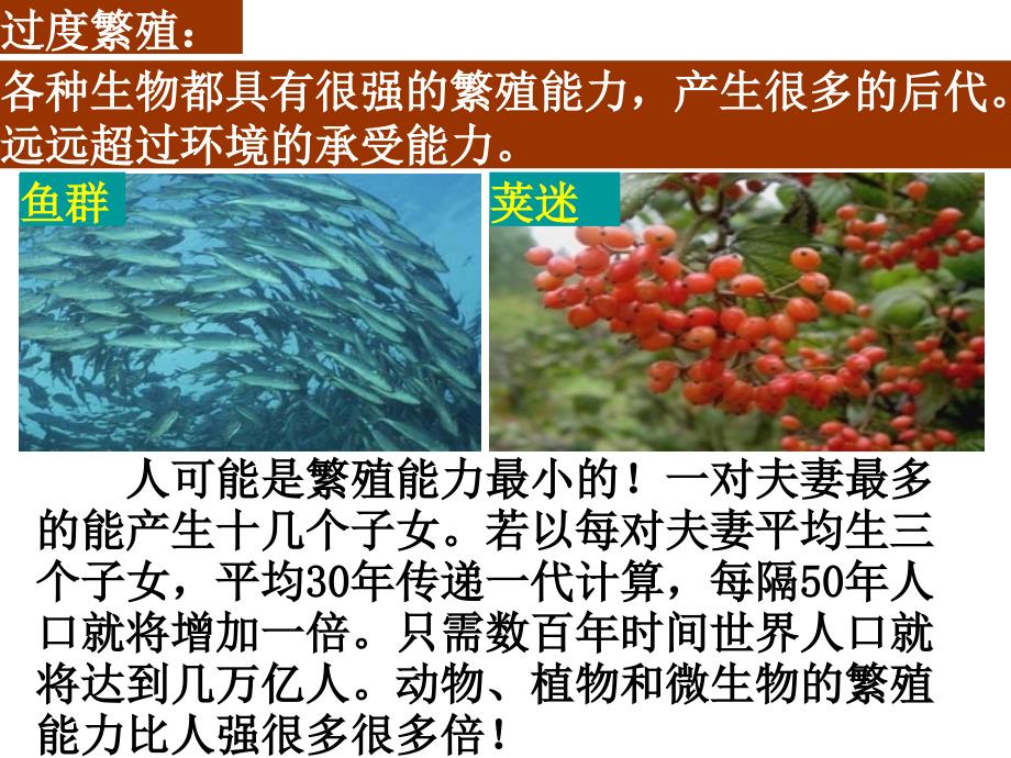 {生物科技管理}生物的进化_第4页