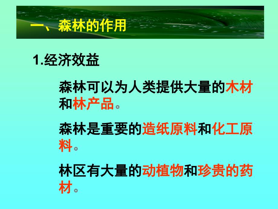 第一节森林的开发和保护(修改)课件_第4页