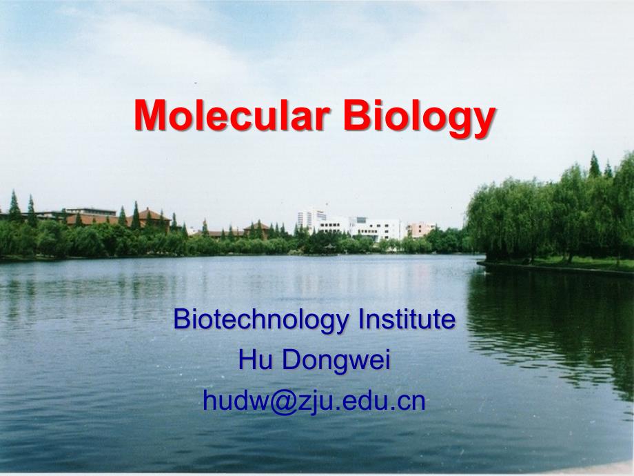 {生物科技管理}分子生物学03复制_第1页