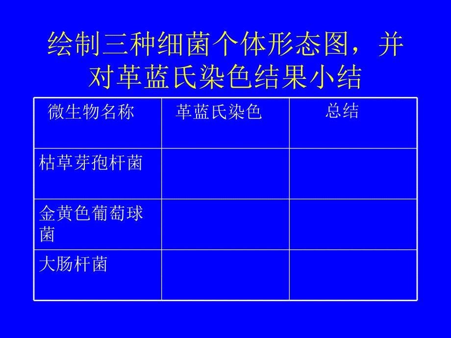 {生物科技管理}微生物实验_第5页