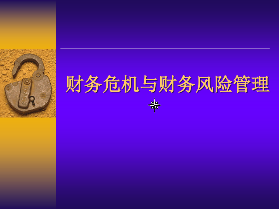 {企业风险管理}财务危机及财务风险管理实务ppt79_第1页