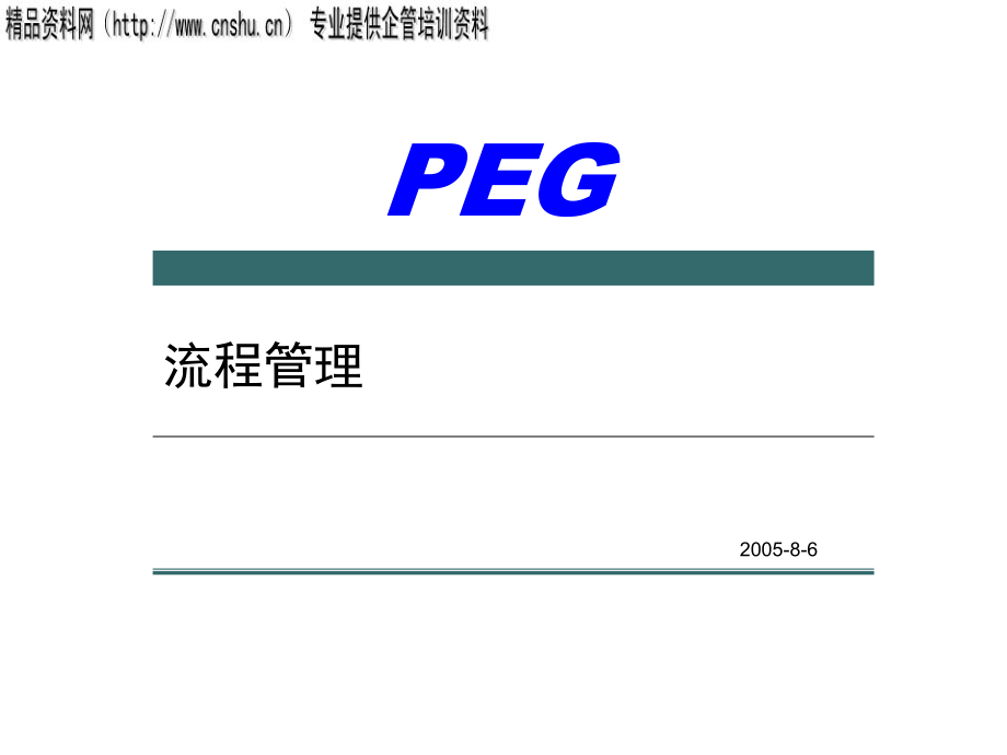 {企业管理咨询}某某管理咨询公司流程管理PPT92页_第1页