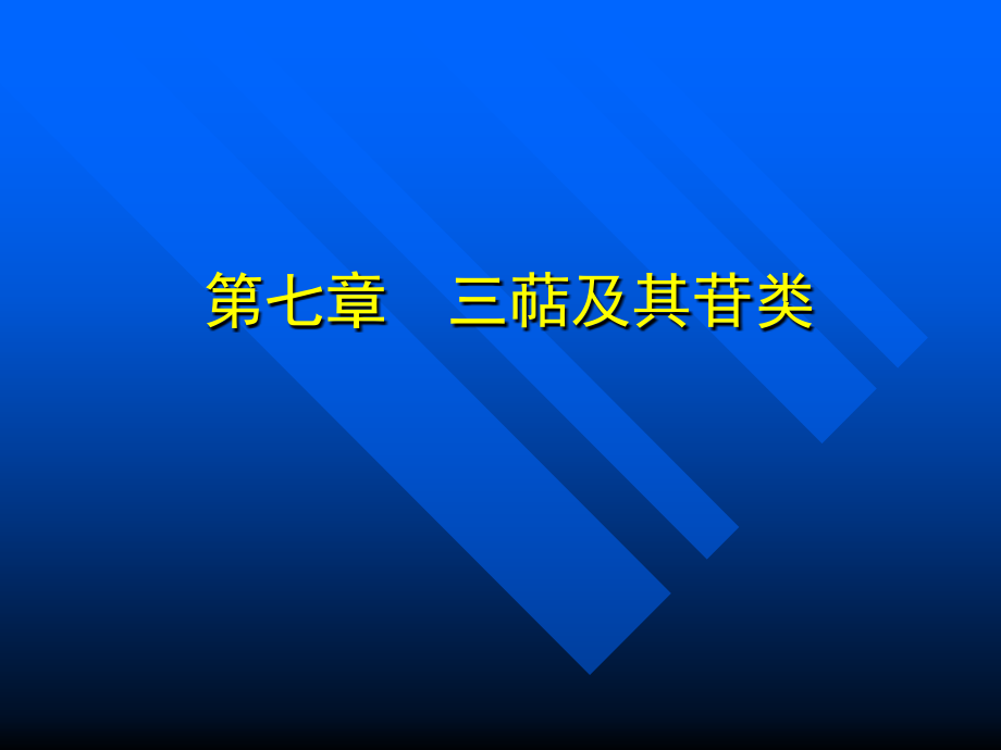 第七届最佳拍档早晨联赛开赛日期课件_第1页