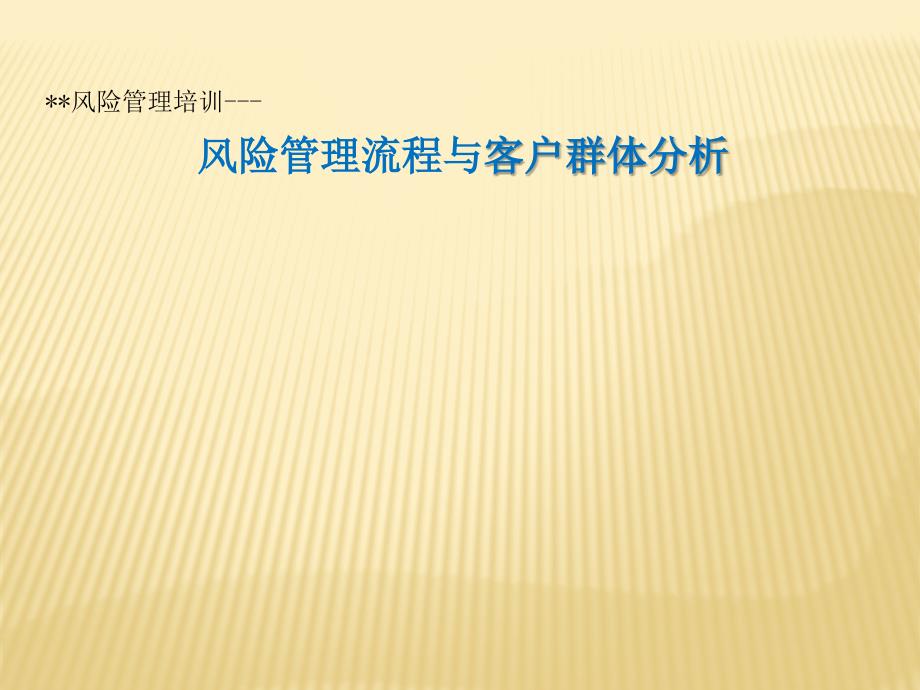 {企业风险管理}风险管理流程与客户群体分析_第1页