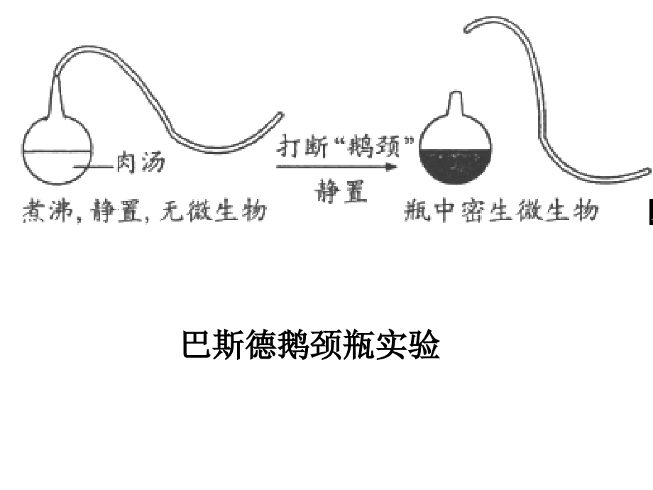 {生物科技管理}21微生物的实验室培养_第1页