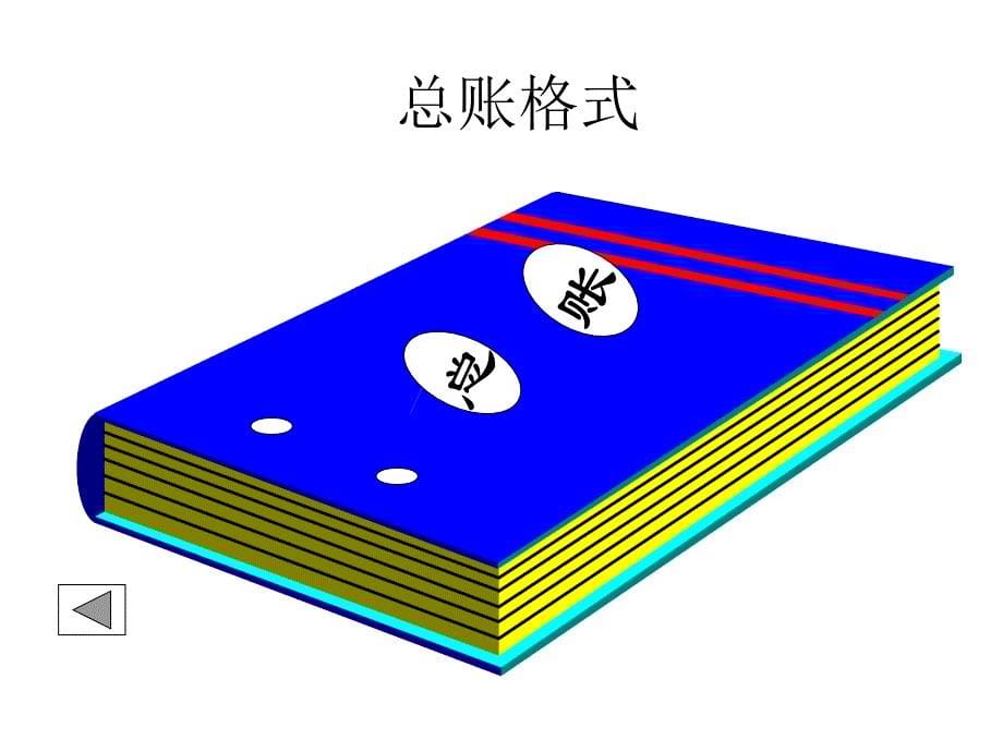 第三章-2 会计账簿教学材料_第5页