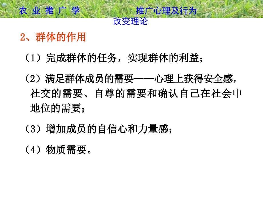 {农业与畜牧管理}农业推广学第04章农业推广心理理论_第5页