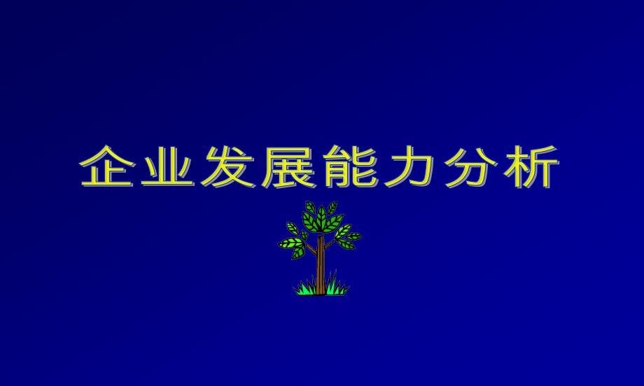 {企业发展战略}企业发展能力分析1_第1页