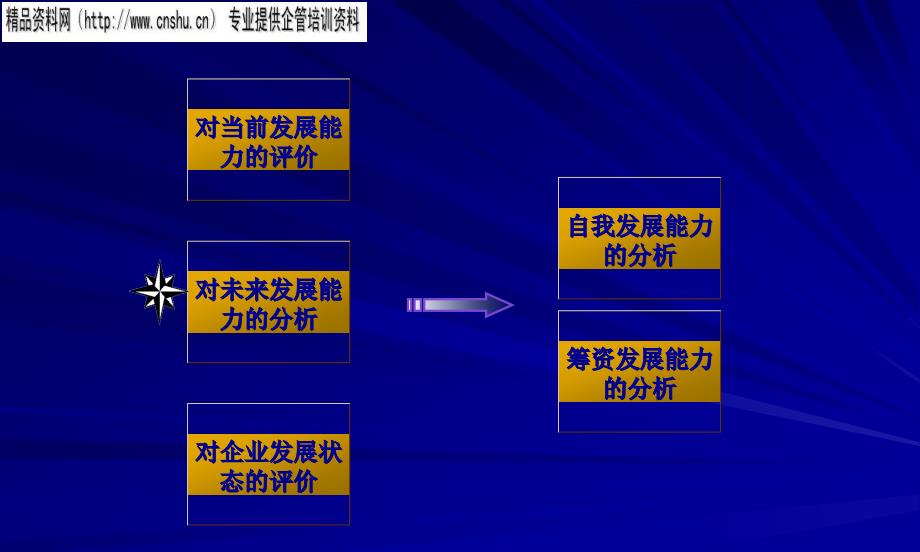 {企业发展战略}企业发展能力分析1_第3页