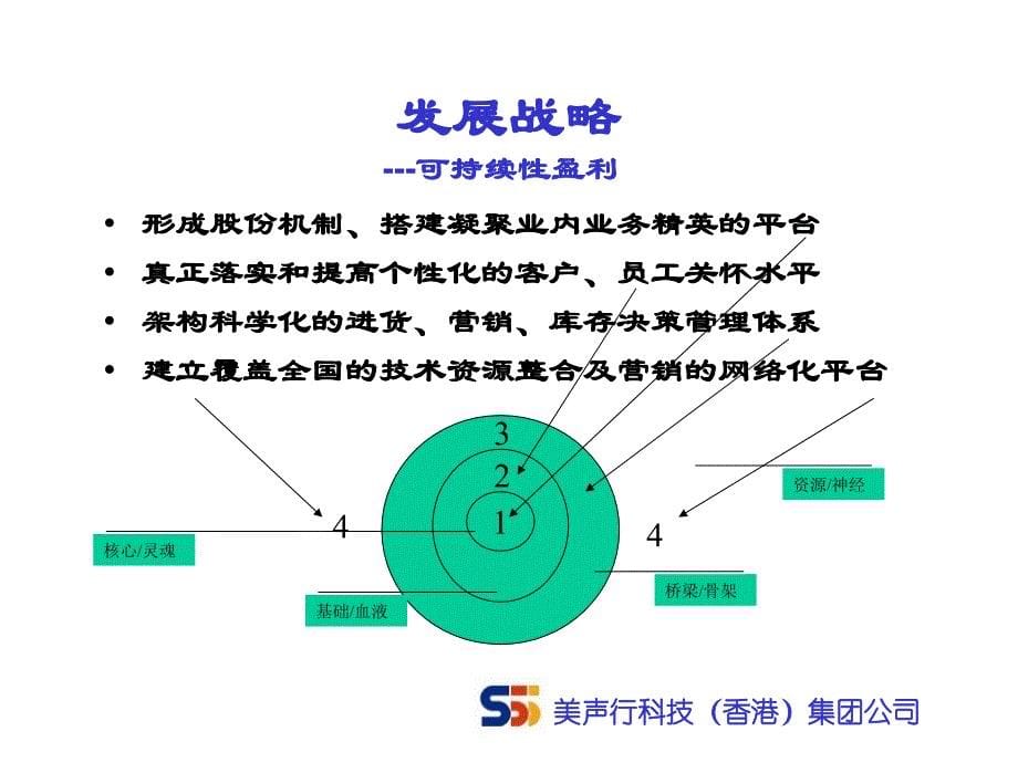 {企业发展战略}某某电子公司发展战略_第5页