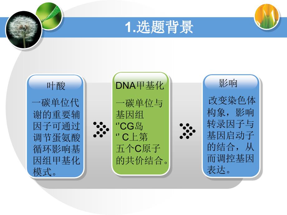 {农业与畜牧管理}第四届畜牧科技论坛PPT叶酸对宫内发育迟缓仔猪肝脏基_第4页