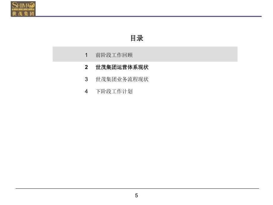 {企业管理咨询}世茂集团管理咨询诊断报告某某某85页_第5页