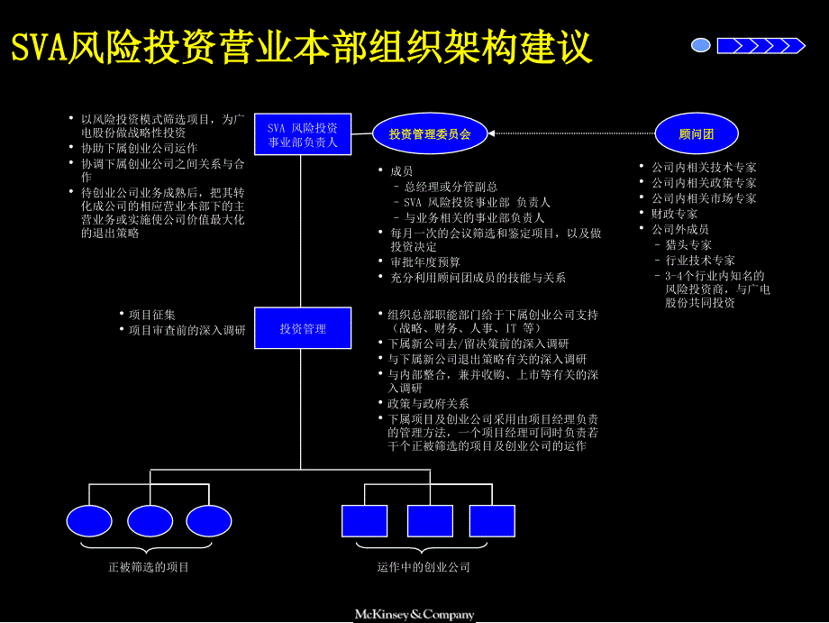 {企业风险管理}某某公司风险投资管理办法_第4页