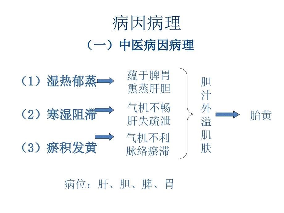 新生儿黄疸-ppt课件_第5页