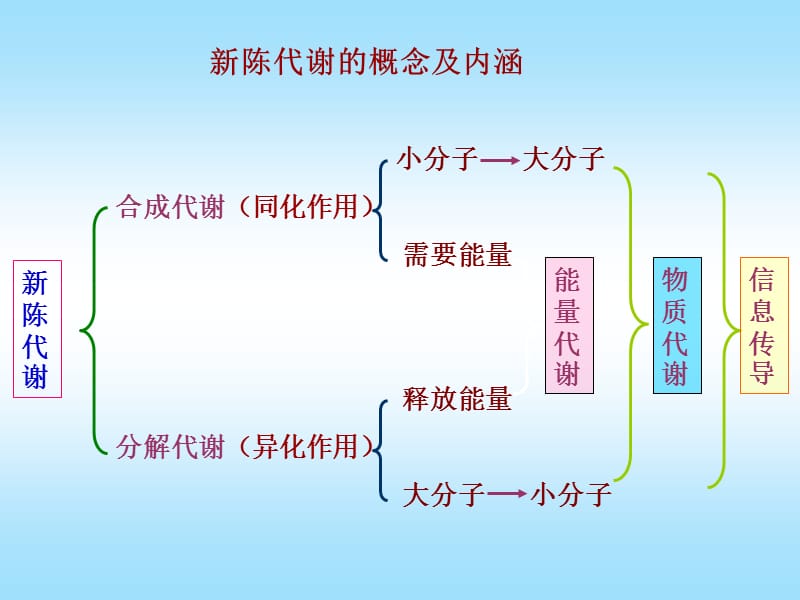 {生物科技管理}第七章生物氧化BiologicalOxidation_第4页