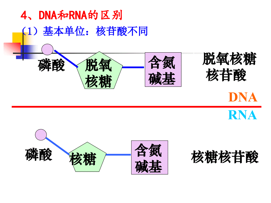 {生物科技管理}13有机化合物及生物大分子4_第4页