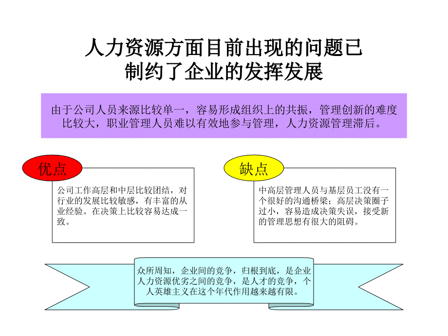 {企业管理咨询}某公司人力资源管理咨询方案_第2页