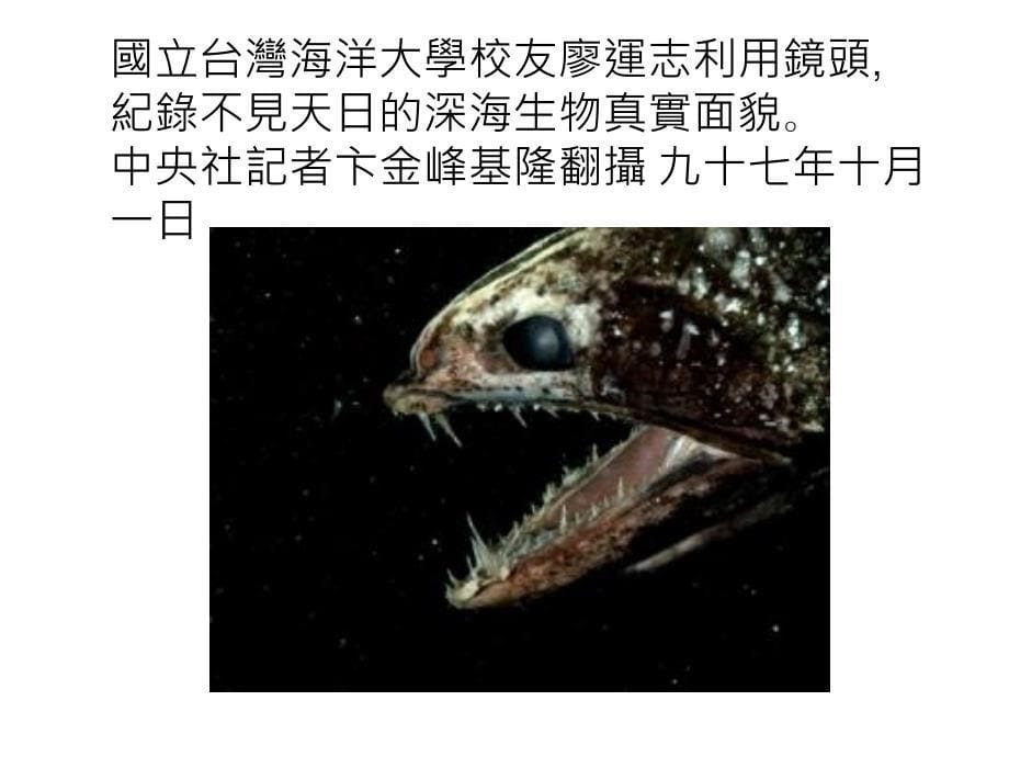 {生物科技管理}生物功课_第5页