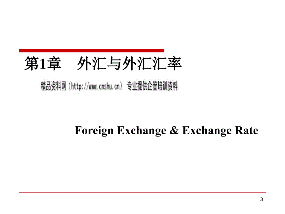 {金融保险管理}国际金融之外汇与外汇汇率_第3页