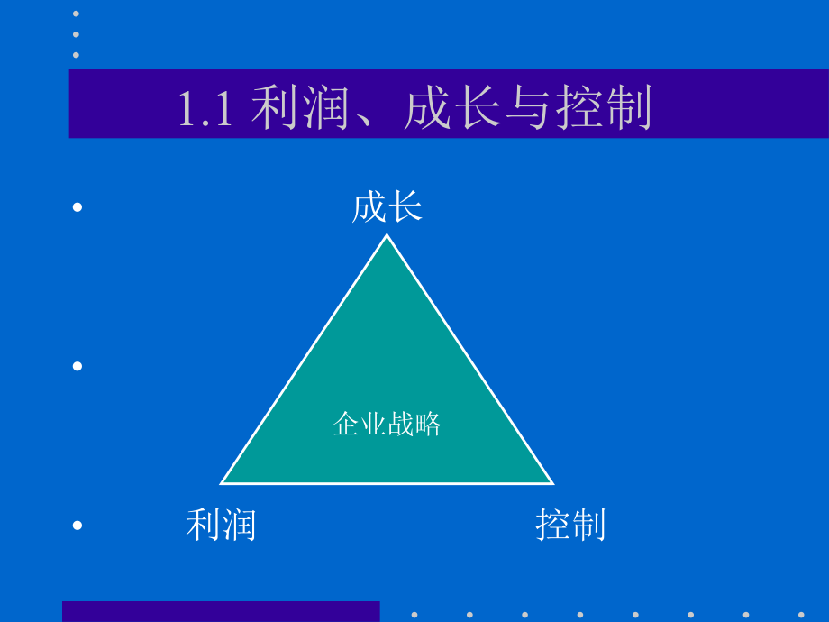 {企业发展战略}某公司可持续发展及财务管理_第3页