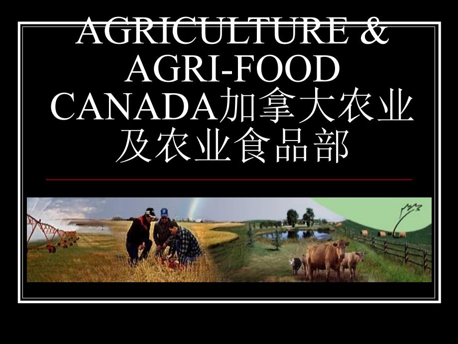 {农业与畜牧管理}加拿大农业及农业食品部_第1页