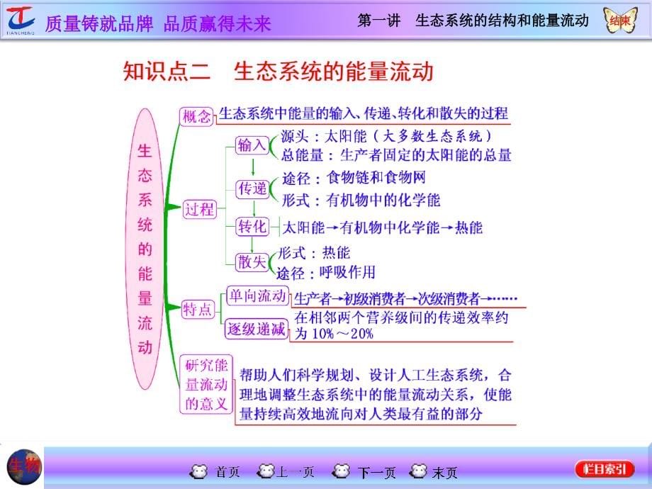 第一讲生态系统的结构和能量流动课件_第5页