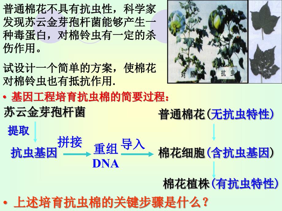 {生物科技管理}浏览该文件现代生物技术专题_第3页