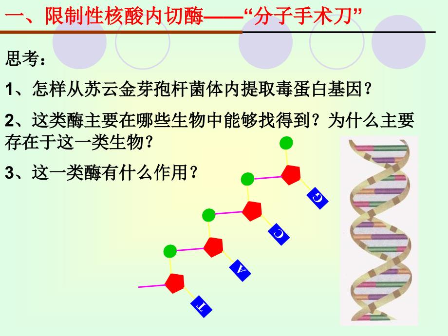 {生物科技管理}浏览该文件现代生物技术专题_第4页