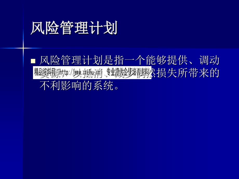 {企业风险管理}风险管理目标组织与计划书_第2页