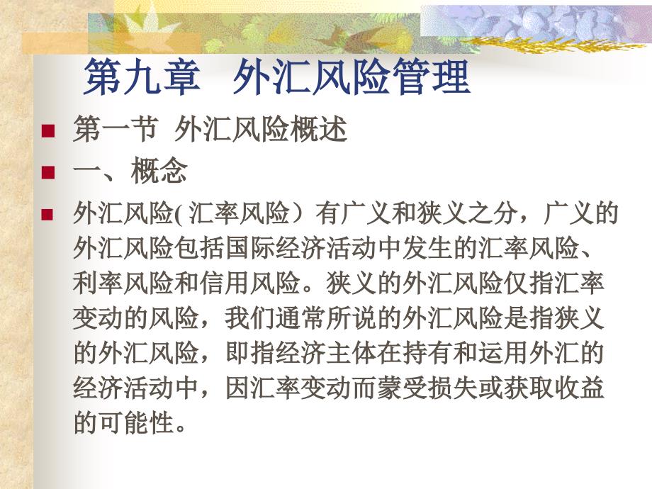 {企业风险管理}CPA公司战略与风险管理外汇风险管理_第1页