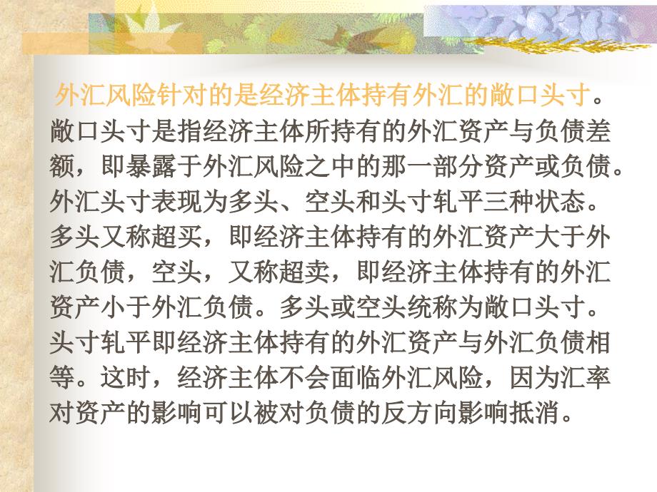 {企业风险管理}CPA公司战略与风险管理外汇风险管理_第2页