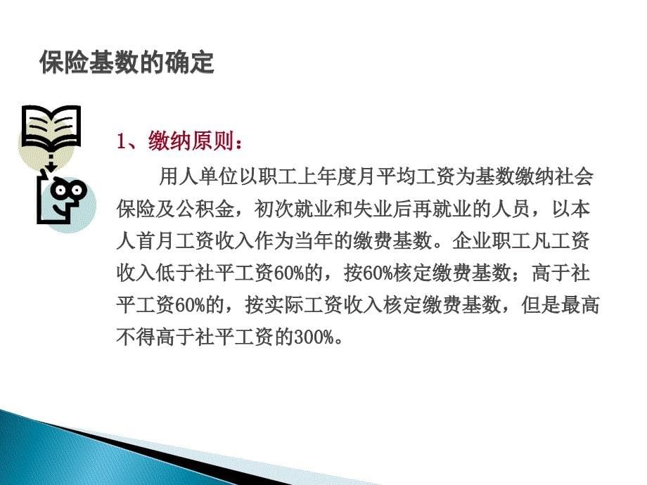 {金融保险管理}社会保险,五险一金_第5页