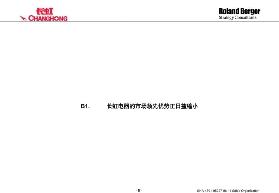 {企业管理咨询}某电器公司营销咨询研究报告_第5页