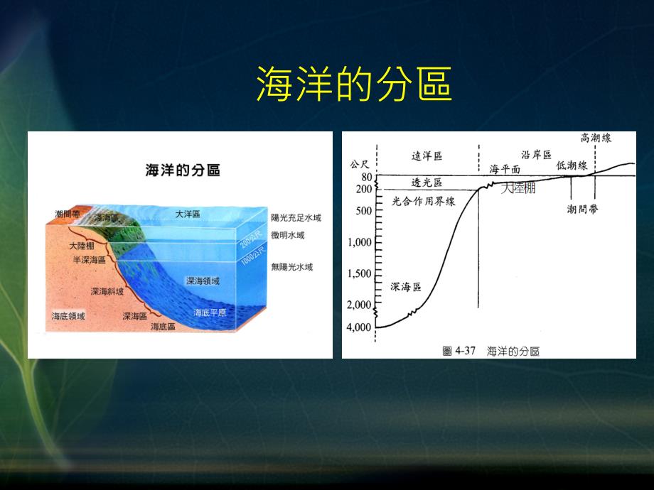 {生物科技管理}海水中的生物世界_第3页