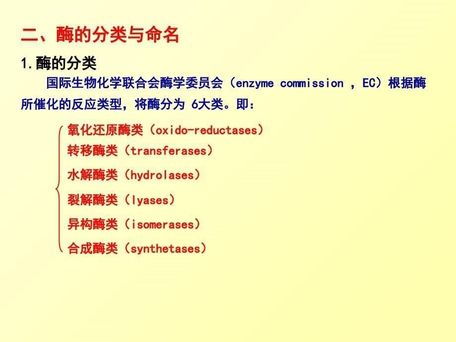 第一节 酶工程概述课件_第5页