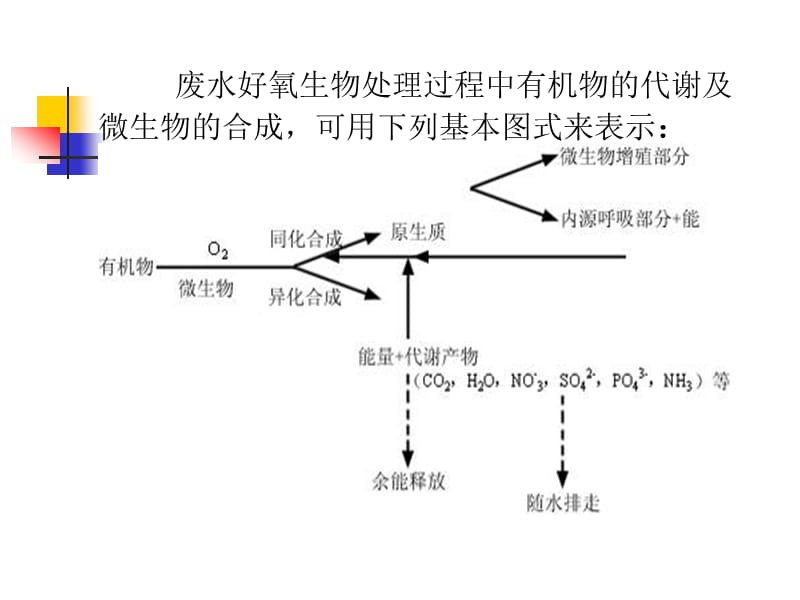 {生物科技管理}第六章好氧生物法_第3页