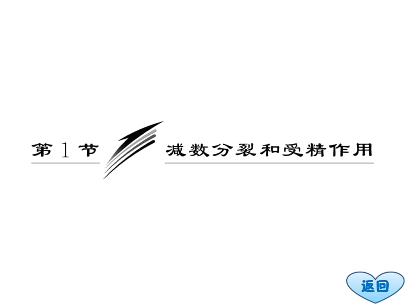 {生物科技管理}三维1314生物人教版)必修2讲义211精子的形成_第3页