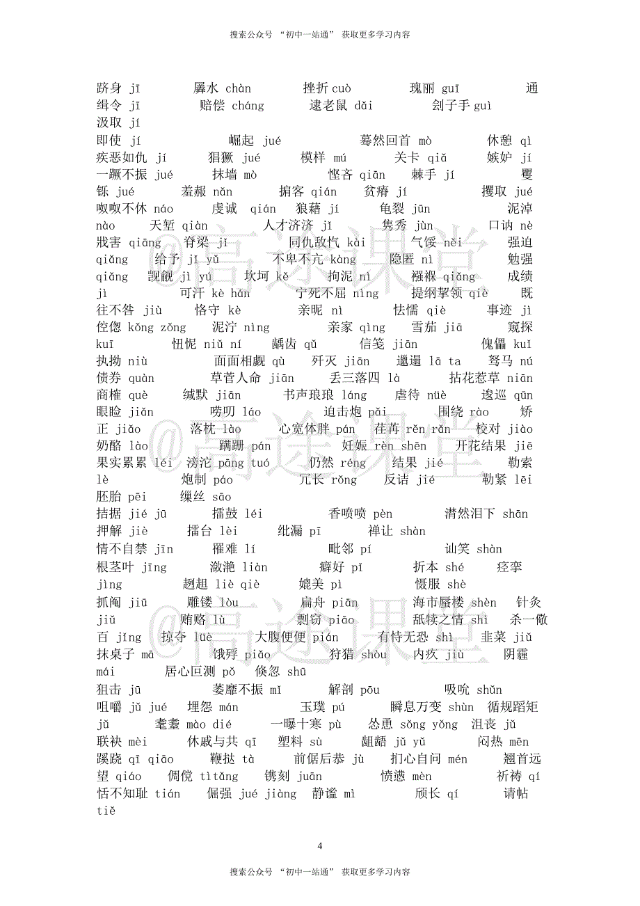 初中语文：中考总复习.pdf_第4页