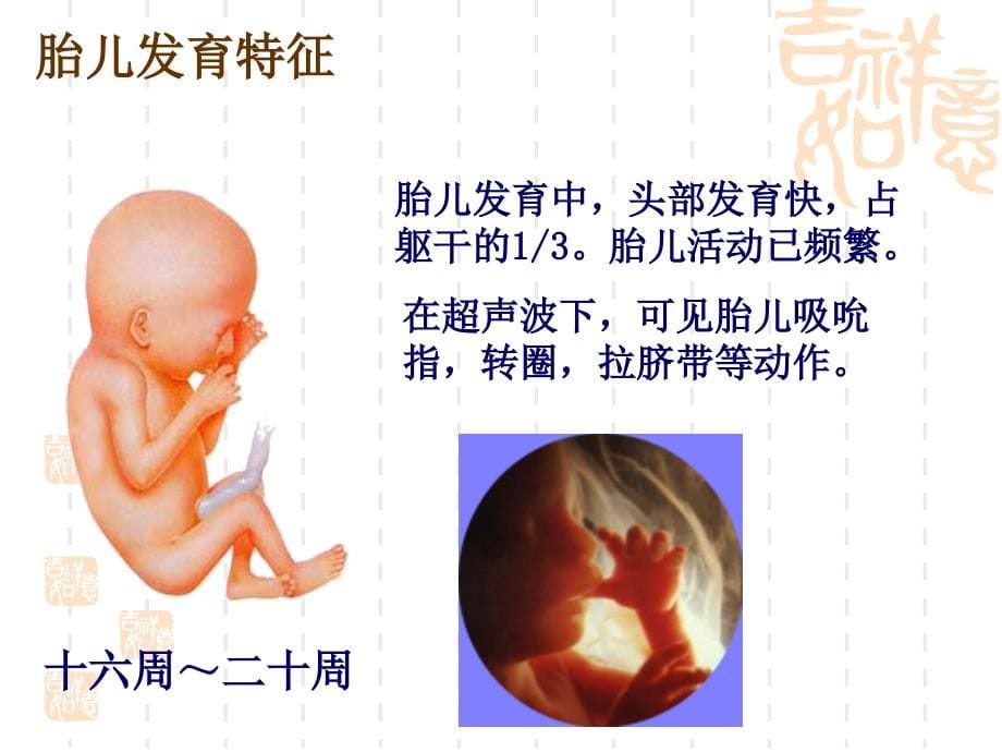 {医疗培训课件}精品讲义某市医药高等专科学校_第5页