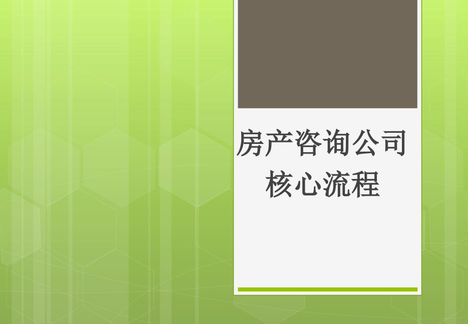 {企业管理咨询}管理讲义房产咨询公司核心流程_第1页