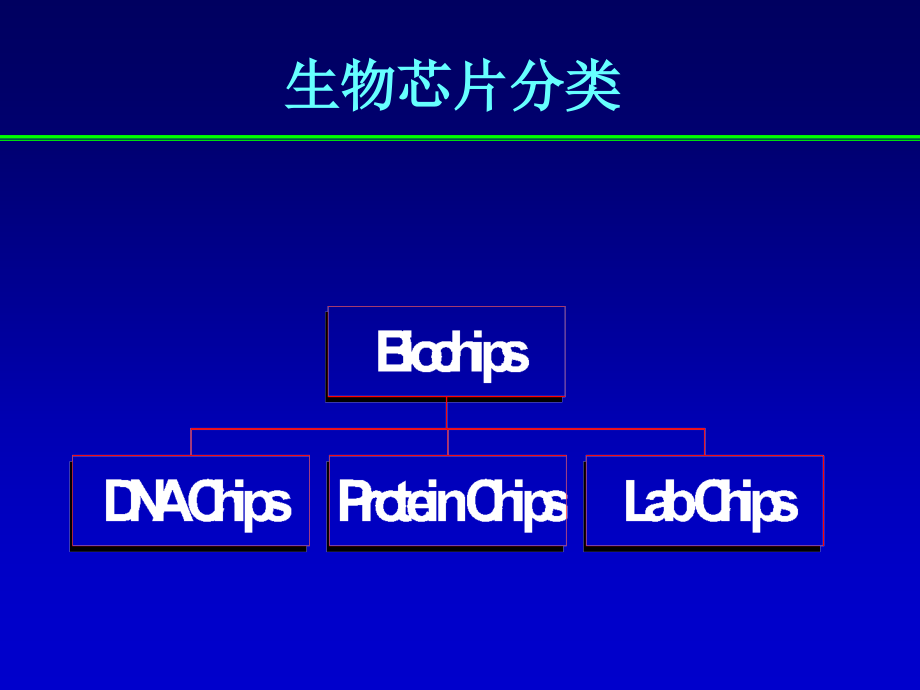 {酒类资料}生物芯片技术简介_第4页