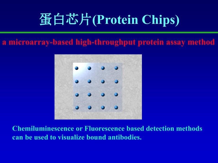 {酒类资料}生物芯片技术简介_第5页